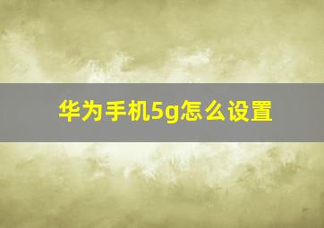 华为手机5g怎么设置