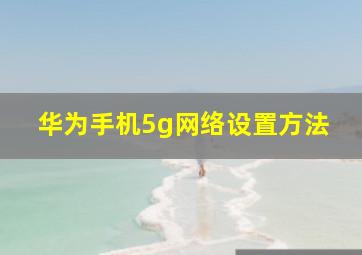 华为手机5g网络设置方法