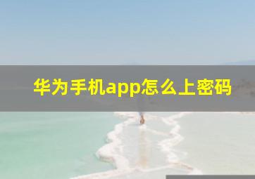 华为手机app怎么上密码