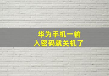 华为手机一输入密码就关机了