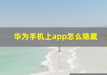 华为手机上app怎么隐藏