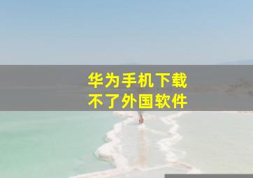 华为手机下载不了外国软件