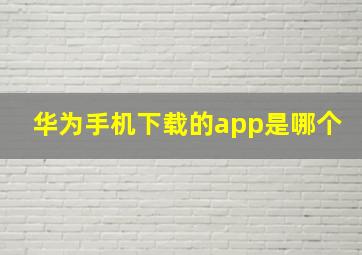 华为手机下载的app是哪个