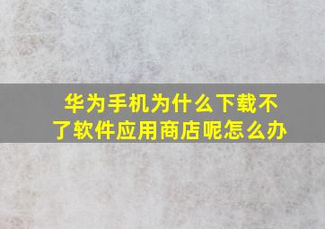 华为手机为什么下载不了软件应用商店呢怎么办