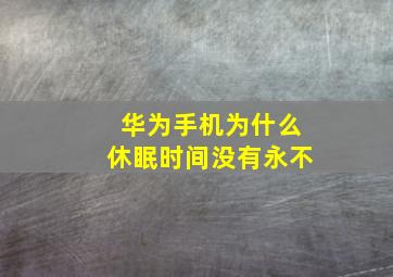 华为手机为什么休眠时间没有永不