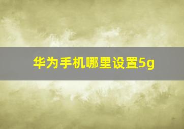 华为手机哪里设置5g