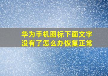 华为手机图标下面文字没有了怎么办恢复正常