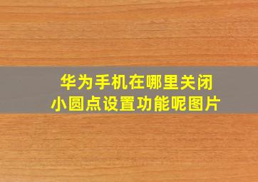 华为手机在哪里关闭小圆点设置功能呢图片