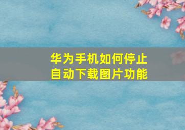 华为手机如何停止自动下载图片功能