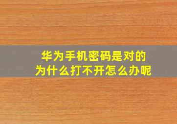 华为手机密码是对的为什么打不开怎么办呢