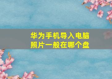 华为手机导入电脑照片一般在哪个盘