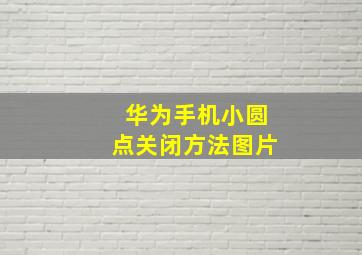 华为手机小圆点关闭方法图片