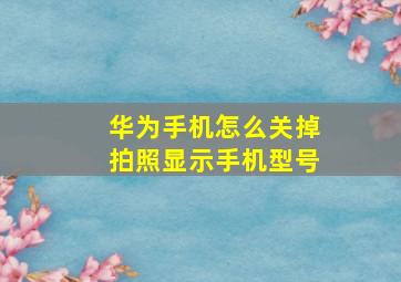 华为手机怎么关掉拍照显示手机型号