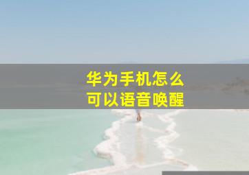 华为手机怎么可以语音唤醒