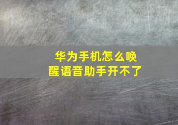 华为手机怎么唤醒语音助手开不了