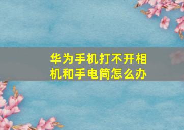 华为手机打不开相机和手电筒怎么办