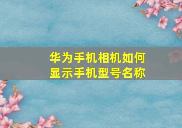 华为手机相机如何显示手机型号名称