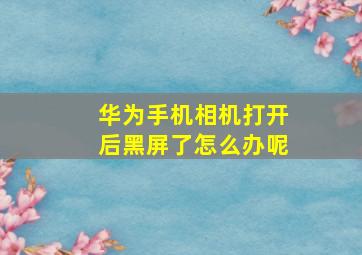 华为手机相机打开后黑屏了怎么办呢