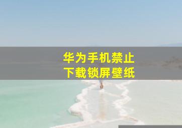 华为手机禁止下载锁屏壁纸