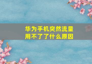 华为手机突然流量用不了了什么原因