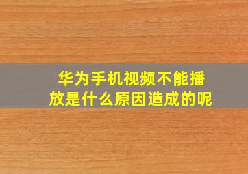 华为手机视频不能播放是什么原因造成的呢