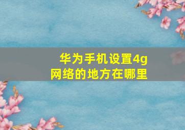 华为手机设置4g网络的地方在哪里