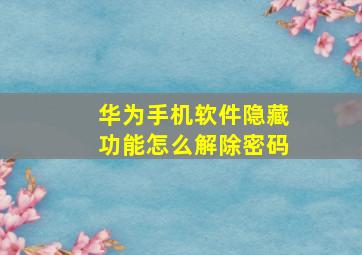 华为手机软件隐藏功能怎么解除密码