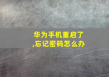 华为手机重启了,忘记密码怎么办