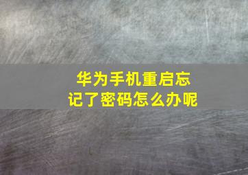 华为手机重启忘记了密码怎么办呢