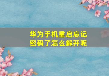 华为手机重启忘记密码了怎么解开呢