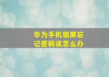 华为手机锁屏忘记密码该怎么办