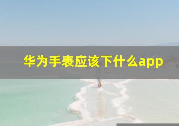 华为手表应该下什么app