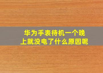 华为手表待机一个晚上就没电了什么原因呢