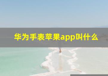 华为手表苹果app叫什么