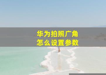 华为拍照广角怎么设置参数