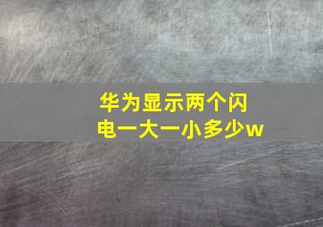 华为显示两个闪电一大一小多少w