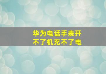 华为电话手表开不了机充不了电