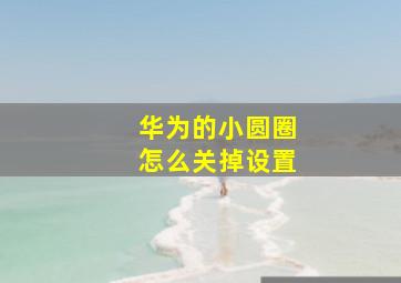 华为的小圆圈怎么关掉设置