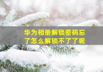 华为相册解锁密码忘了怎么解锁不了了呢