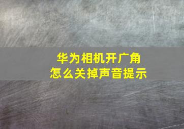 华为相机开广角怎么关掉声音提示