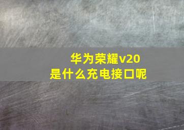 华为荣耀v20是什么充电接口呢