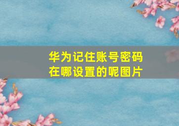 华为记住账号密码在哪设置的呢图片