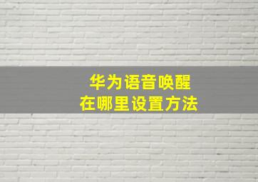 华为语音唤醒在哪里设置方法