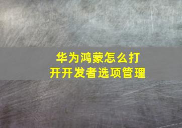 华为鸿蒙怎么打开开发者选项管理