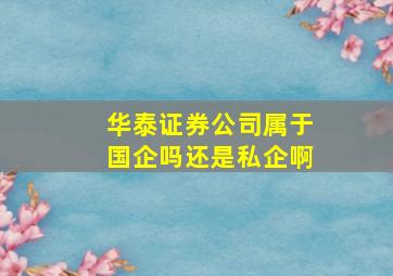 华泰证券公司属于国企吗还是私企啊