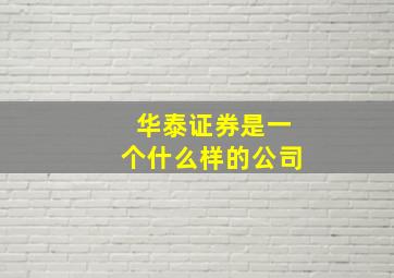 华泰证券是一个什么样的公司