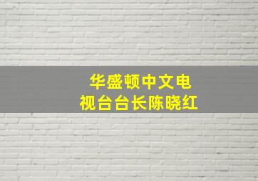 华盛顿中文电视台台长陈晓红