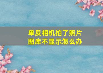 单反相机拍了照片图库不显示怎么办