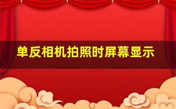 单反相机拍照时屏幕显示