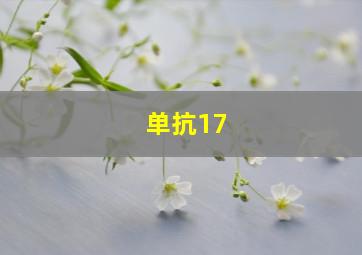 单抗17